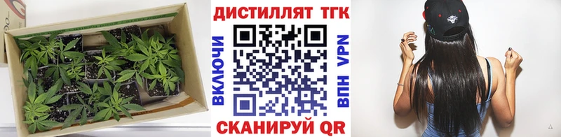 Дистиллят ТГК THC oil  Верхняя Тура 