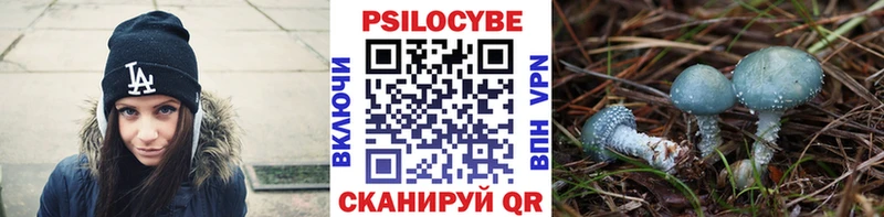 Псилоцибиновые грибы Magic Shrooms  закладки  Верхняя Тура 